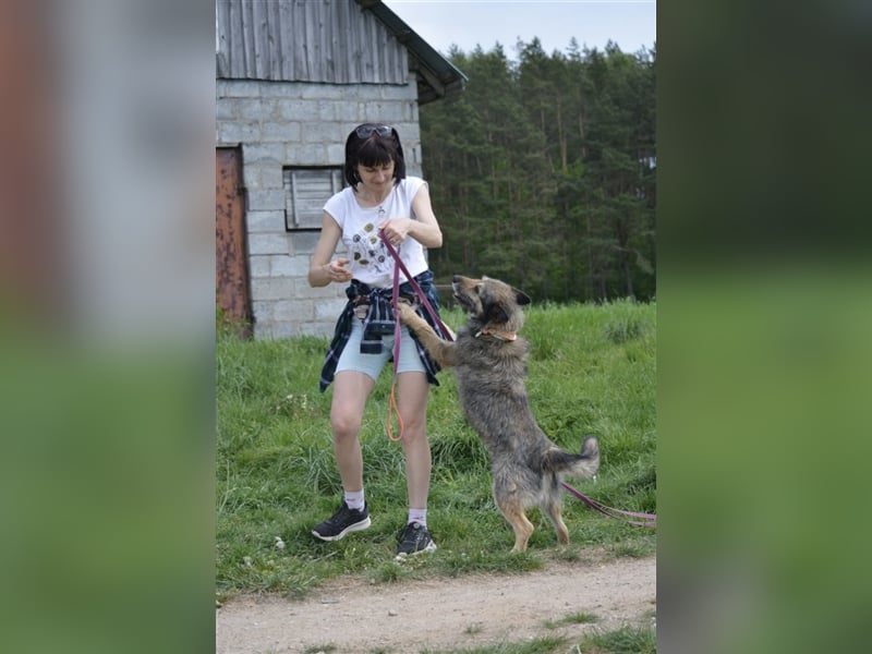 NOTFALL !!! Liebenswerter Zausel „Jurko“, ca. 2017 geb., sehr lieb und absolut menschenbezogen!