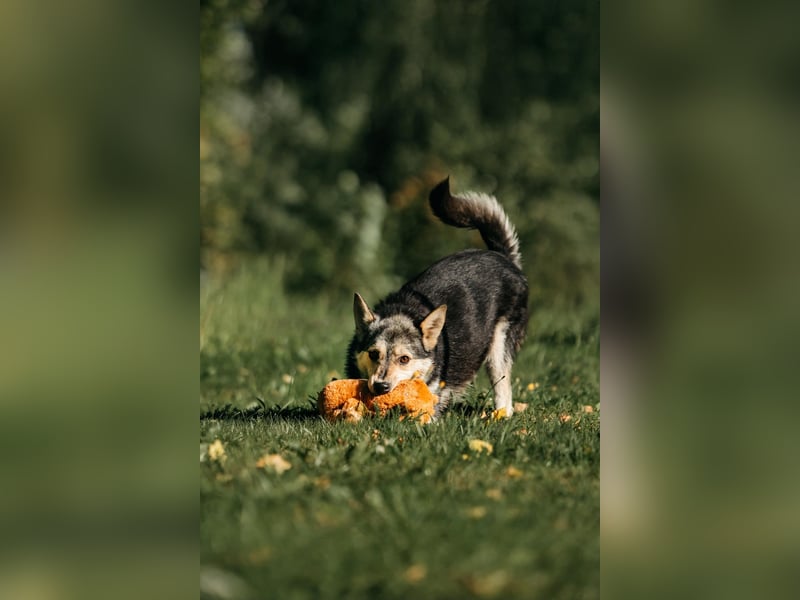 Aktive Naya sucht ihre Menschen