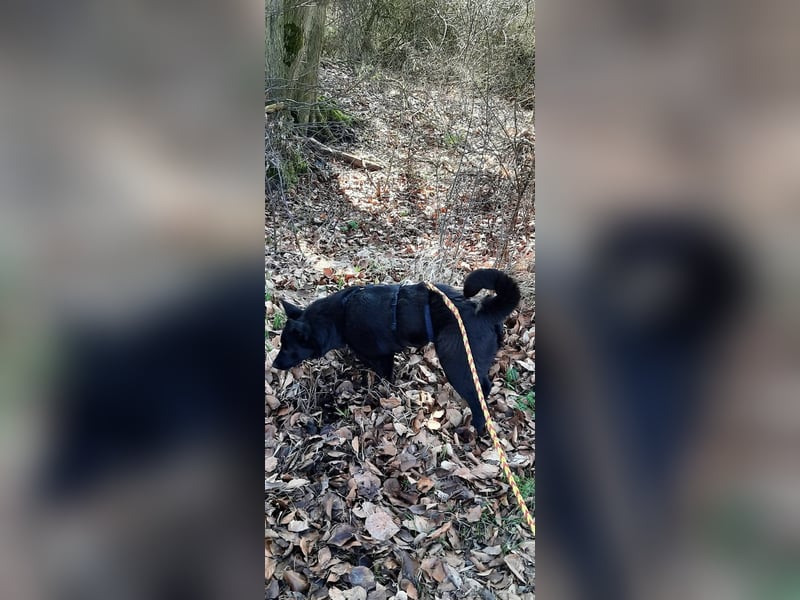 Süße Salt sucht liebevolles Zuhause