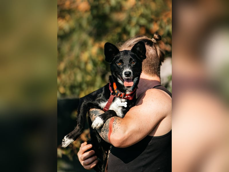 Sanfte Lucy sucht ihre Menschen