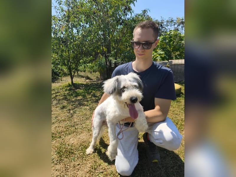 Amalia - eine anhängliche, aufgeschlossene Hündin auf der Suche nach ihrem Zuhause