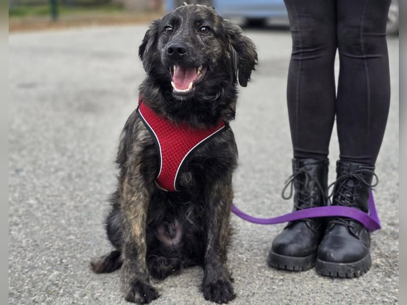 Kiki ucht ein Zuhause