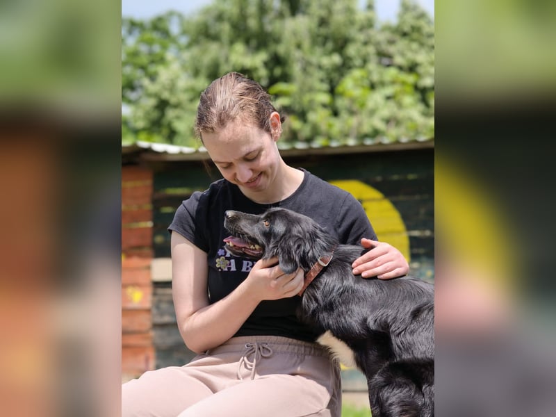Dottie - Neugierige und freundliche Hündin sucht aktive Familie