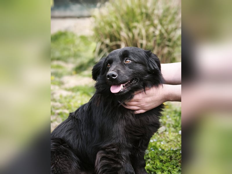 Blecky - freundlich und voller Lebensfreude