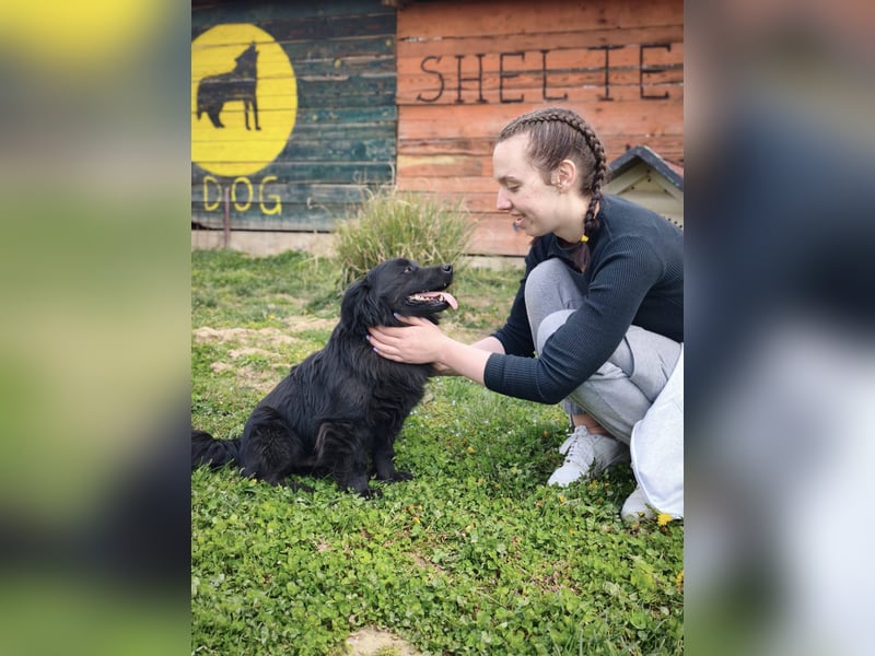 Blecky - freundlich und voller Lebensfreude