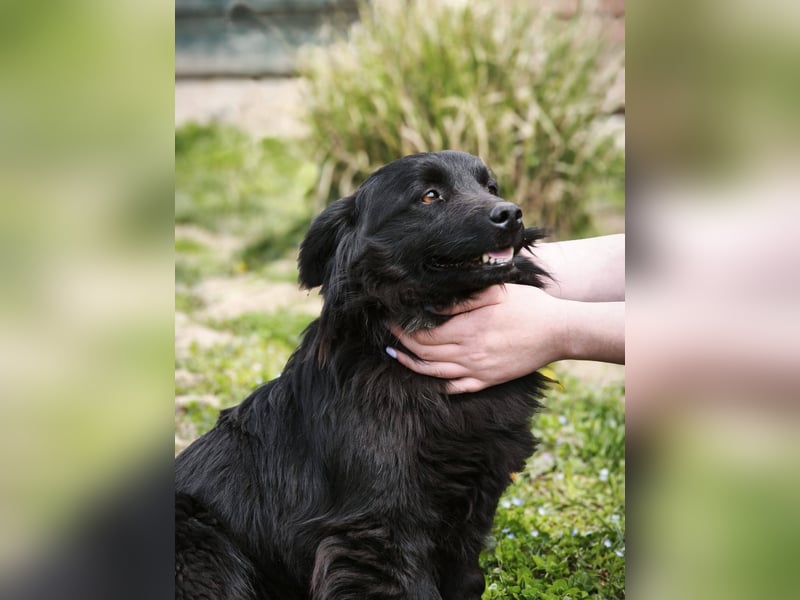 Blecky - freundlich und voller Lebensfreude