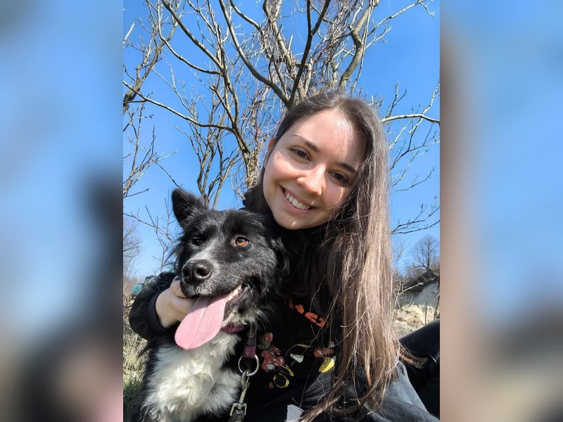 Kaya - Sanfte Seele sucht ihr Für-immer-Zuhause