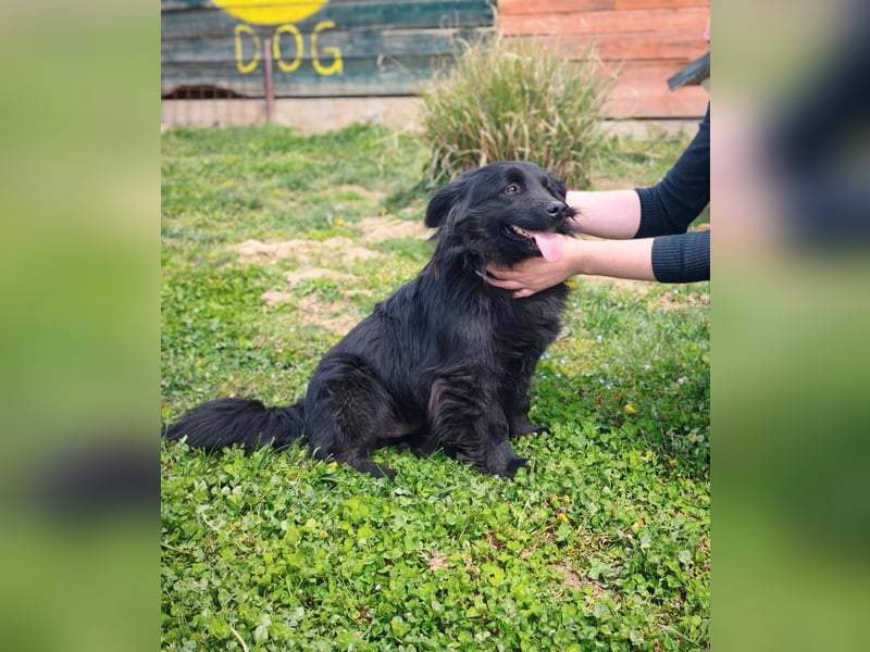 Blecky - freundlich und voller Lebensfreude