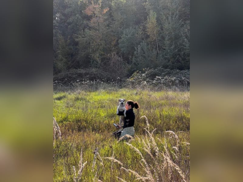 Aramis, charmant und intelligent