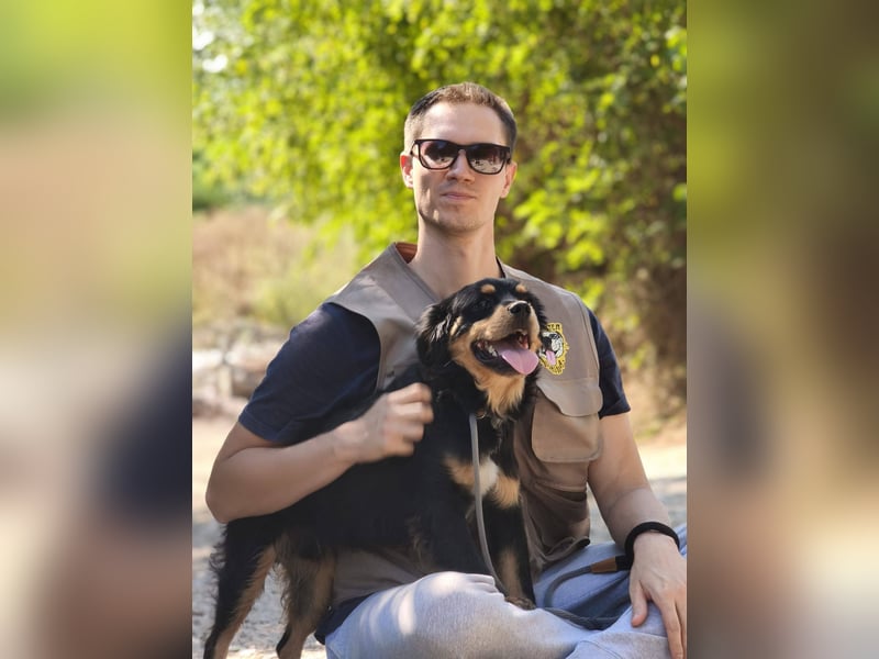 Nico - junger, aufgeweckter Rüde sucht ein Zuhause