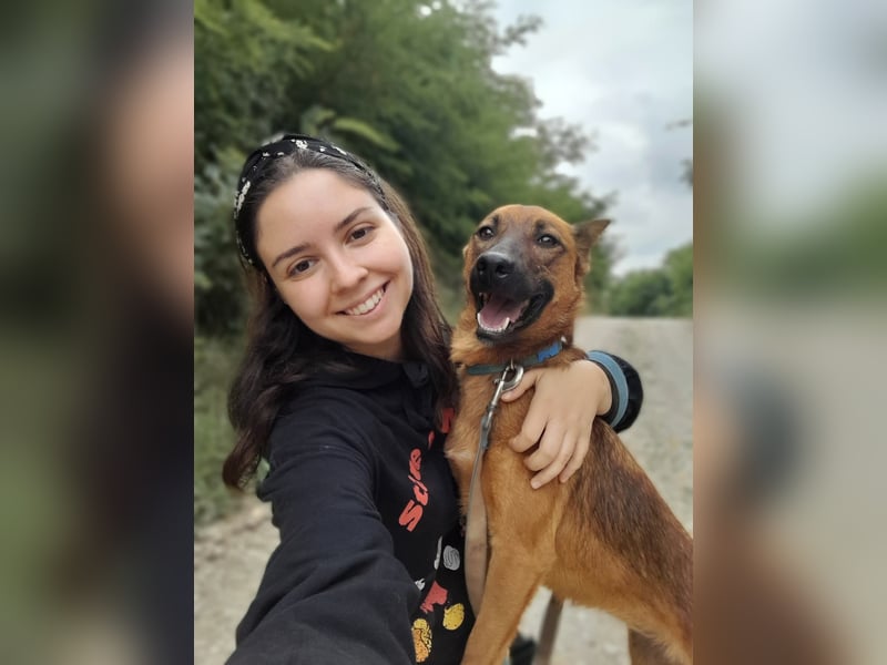 Molly - freundliche und ausgeglichene Mischlingshündin sucht ihr Zuhause