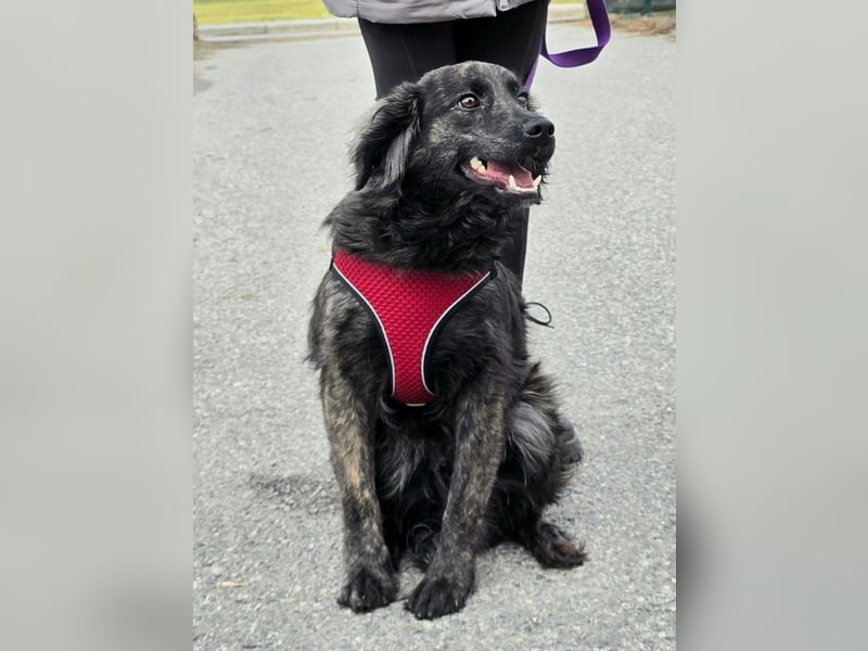 Kiki ucht ein Zuhause