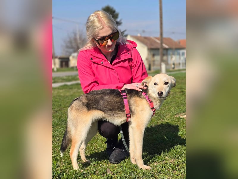 KORAL - liebevolle und aktive Hündin sucht ihr Zuhause