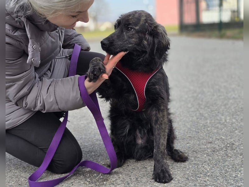 Kiki ucht ein Zuhause