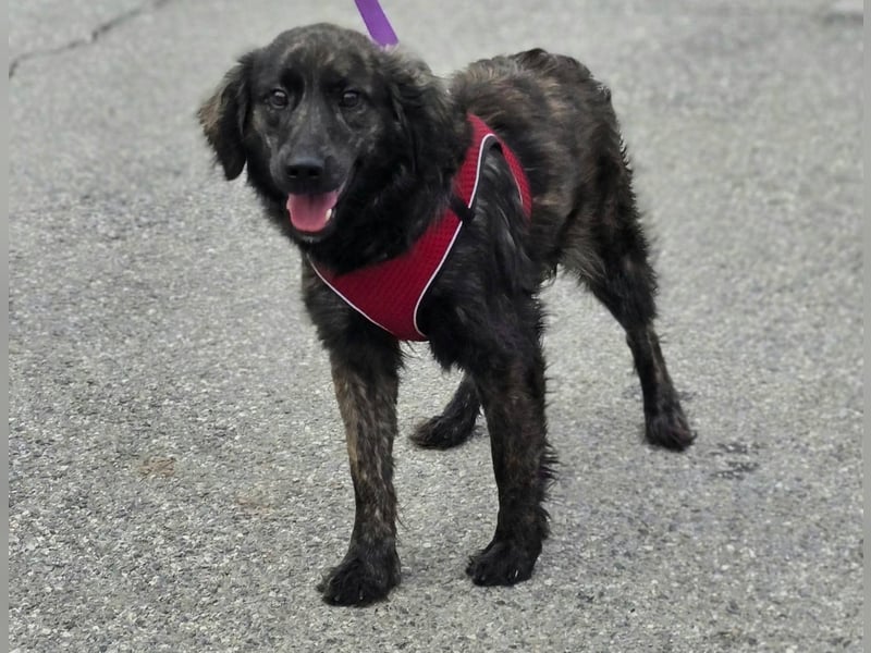 Kiki ucht ein Zuhause