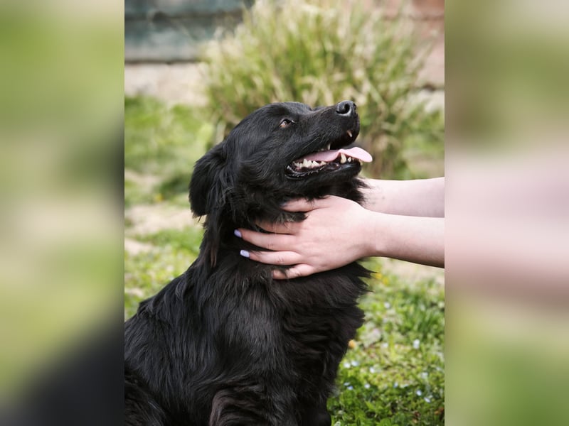 Blecky - freundlich und voller Lebensfreude