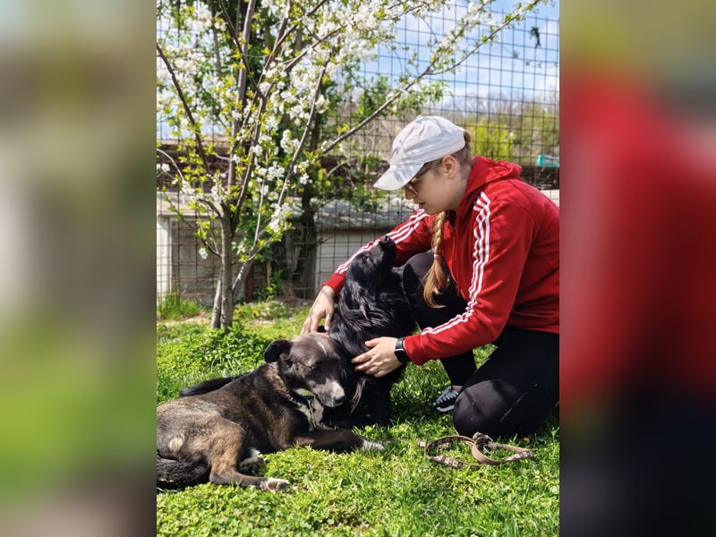 Blecky - freundlich und voller Lebensfreude