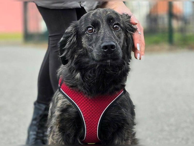 Kiki ucht ein Zuhause