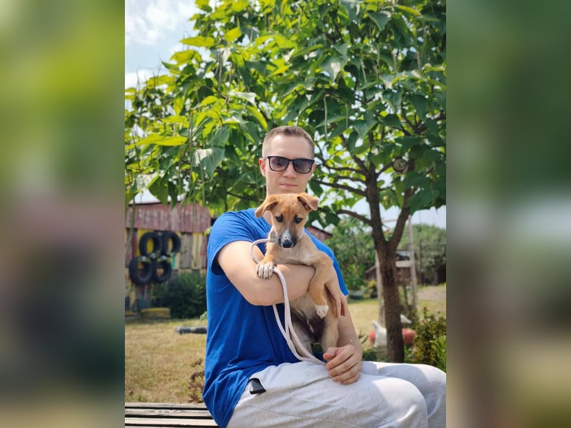Tea - lebensfrohe Mischlingshündin sucht ihr Zuhause