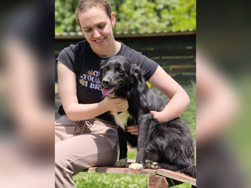 Dottie - Neugierige und freundliche Hündin sucht aktive Familie