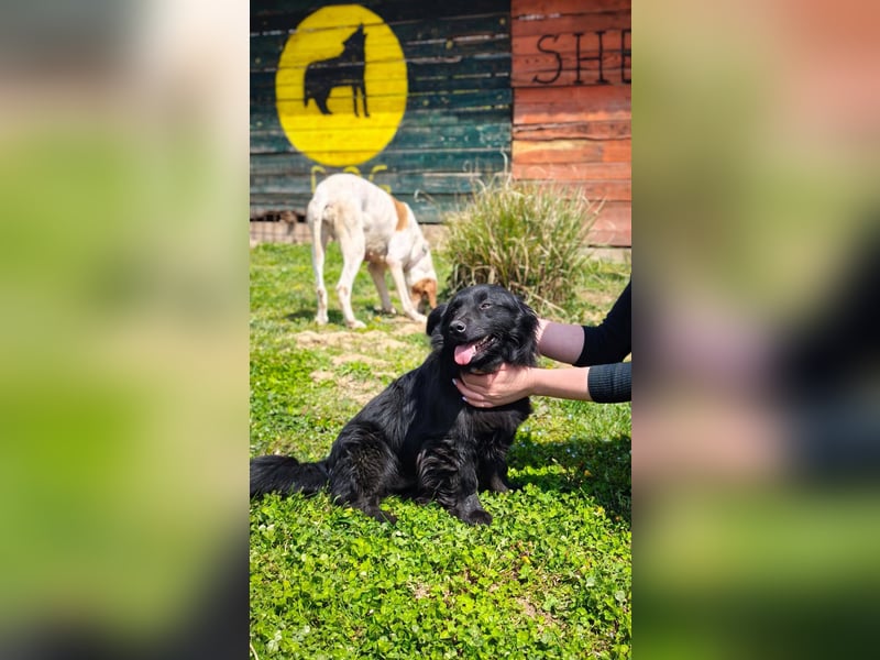 Blecky - freundlich und voller Lebensfreude