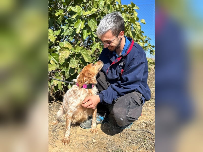 Eli - Ein Herz aus Gold im Kuschelpelz Eli - Ein Herz aus Gold im Kuschelpelz