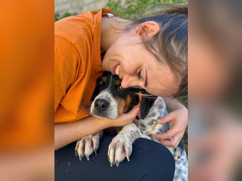 Notfell Amapola - unglücklich im Refugio Notfell Amapola - unglücklich im Refugio