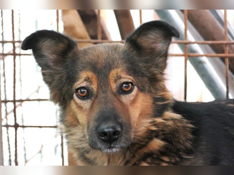 schüchterne Sascha sucht geduldige Menschen