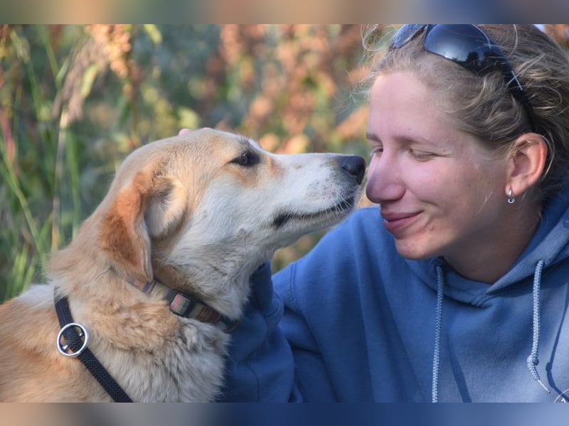 Bonbonetti - süße freundliche Hündin, anfangs etwas schüchtern