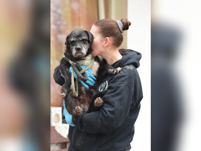 Opa Kalmann - liebevoller, aufgeschlossener und freundlicher Senior