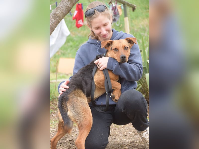 Georgina - freundliche, verschmuste Hündin die uns Menschen mag