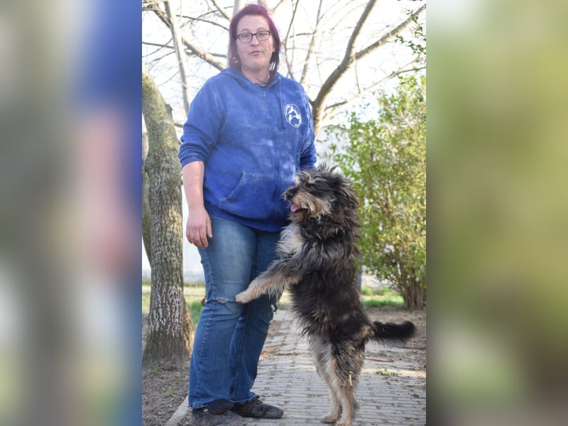 Timmy - freundlich, verschmuster Rüde der die Nähe der Menschen genießt