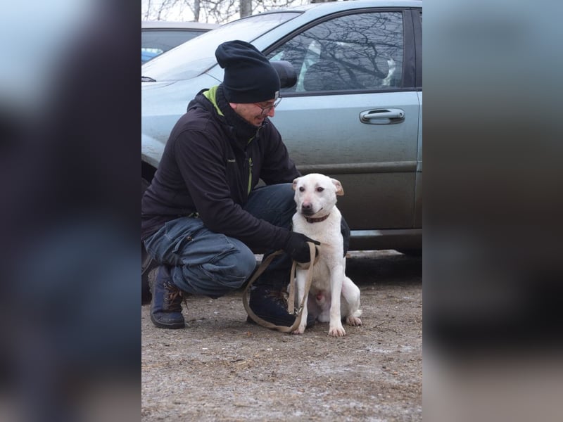 Momo - liebt die Menschen und ist sehr freundlich