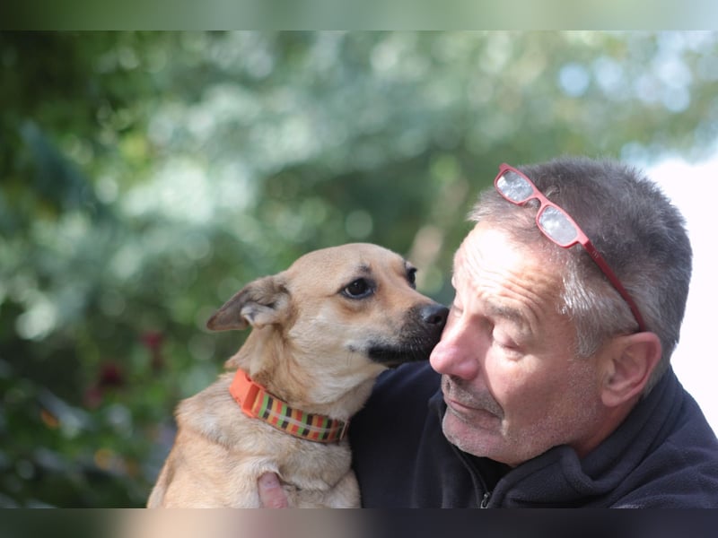 Kimo - lieber, verschmuster Junghund der schon einiges gelernt hat