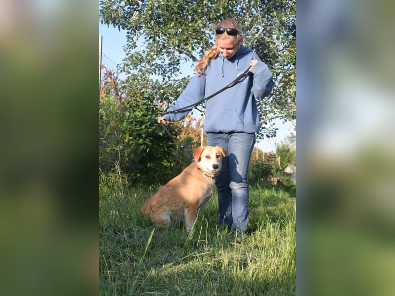 Bonbonetti - süße freundliche Hündin, anfangs etwas schüchtern