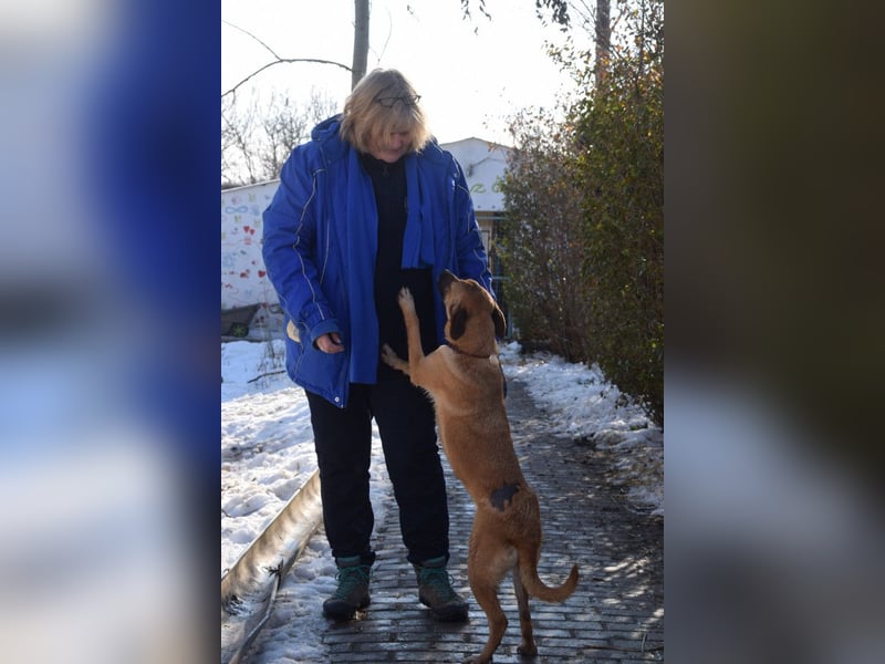 Nady - fröhliche, verspielte junge Hündin die neugierig auf das Leben ist