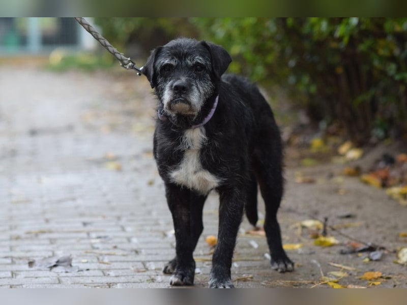 Opa Kalmann - liebevoller, aufgeschlossener und freundlicher Senior