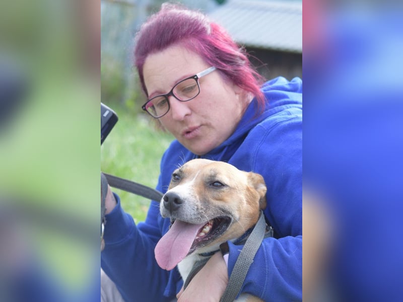 Caroline - menschenbezogene Hündin die ein sportliches Zuhause sucht