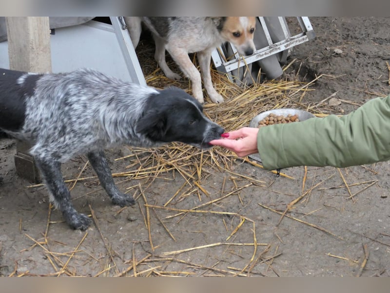 Tarja, sucht Menschen die ihr zeigen wie schön das Leben ist