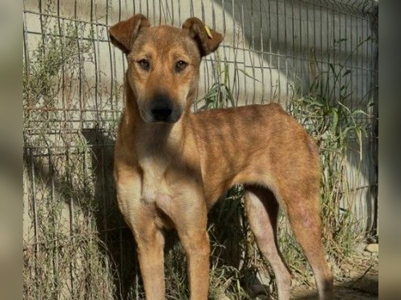 zauberhafte, liebe Janika