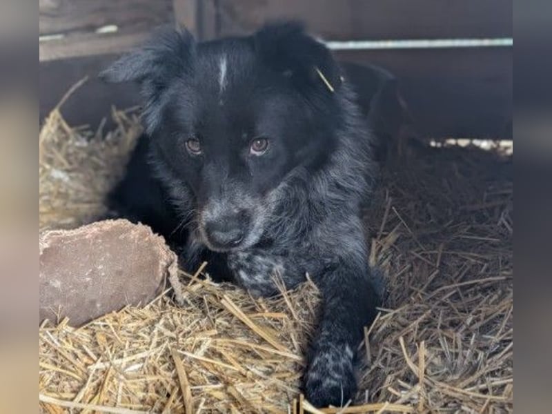 schüchterne, wunderschöne Nila