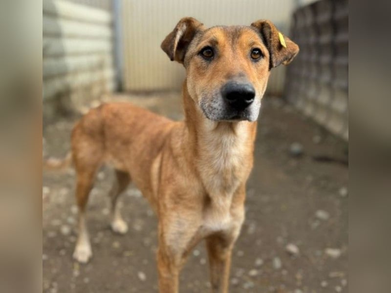 zauberhafte, liebe Janika