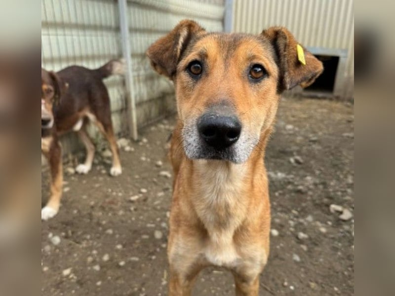 zauberhafte, liebe Janika