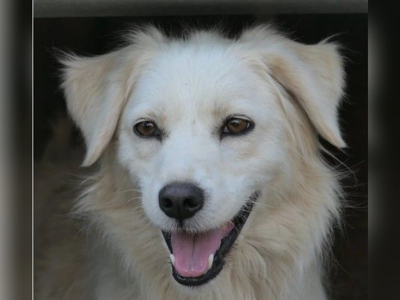 Wunderschöne Anca sucht ihre Menschen