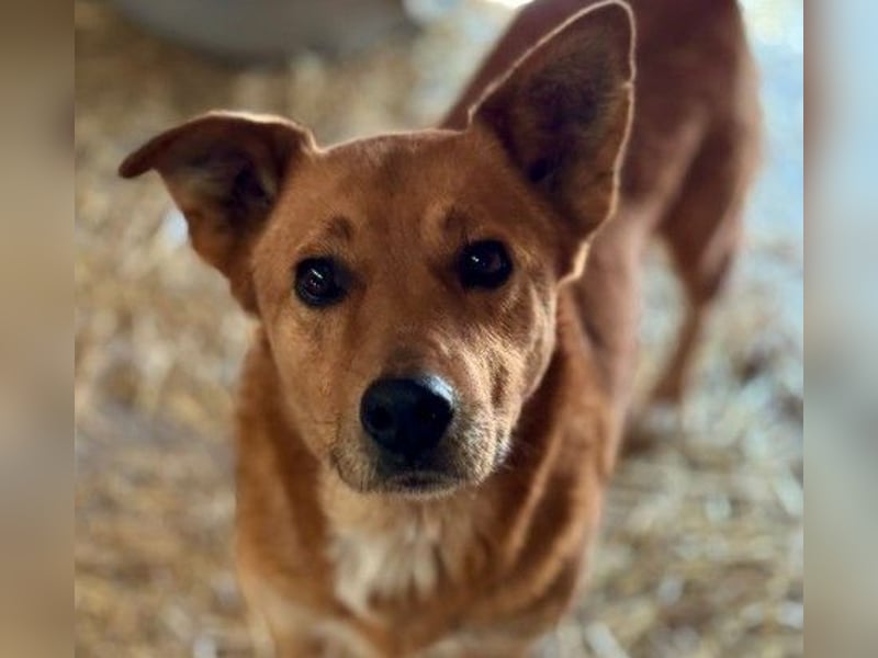 DAISY, skeptisch, aber neugierig