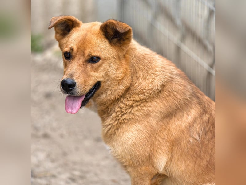 DAISY, skeptisch, aber neugierig