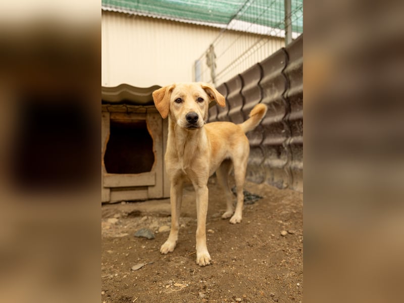 Olina wartet auf ihre Herzensmenschen die ihr Struktur und Sicherheit geben