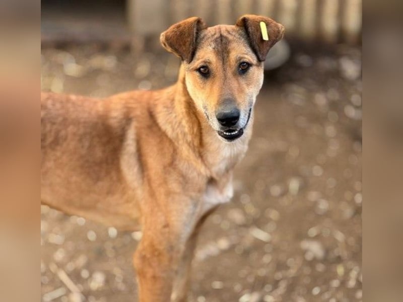 zauberhafte, liebe Janika