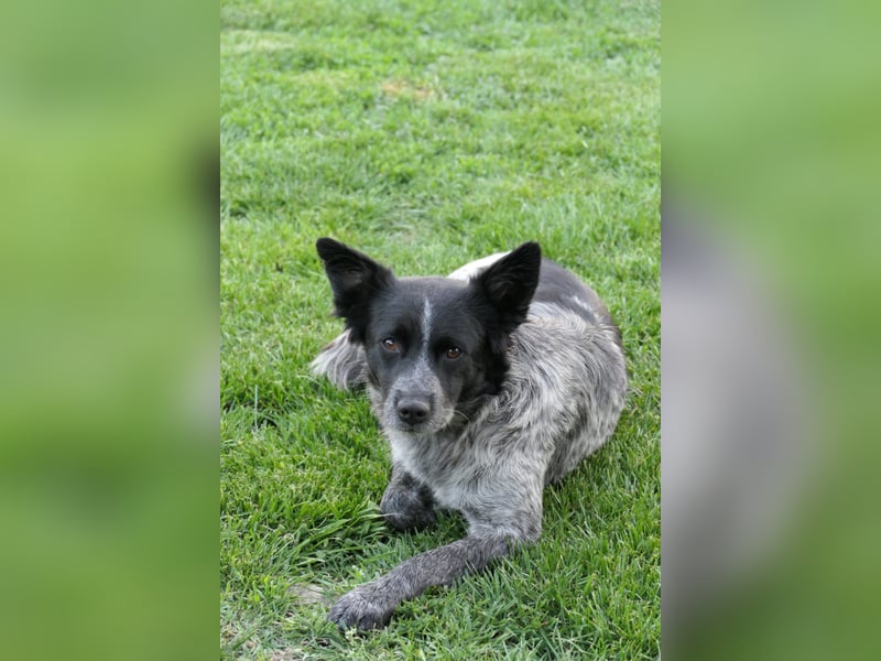 Tarja sucht ihre Vertrauenspersonen