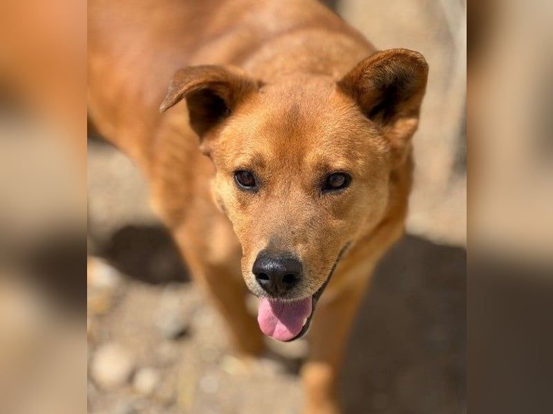 DAISY, skeptisch, aber neugierig